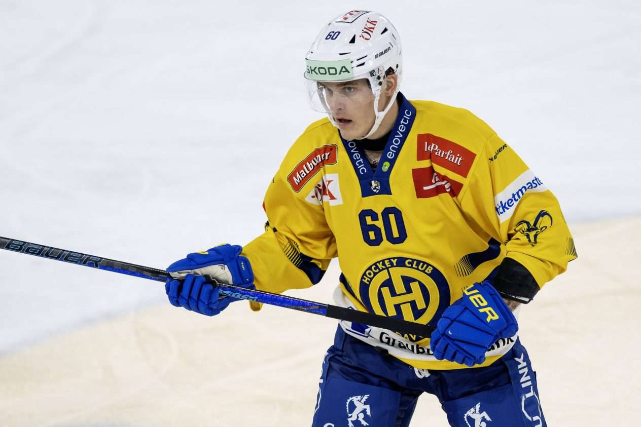 www.leijonat.com